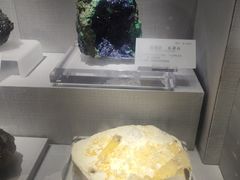 -湖南省地质博物馆