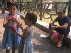 -滴水岩森林公园
