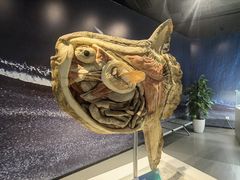 -生命奥秘博物馆