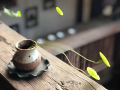 -普洱茶府(博乐广场店)