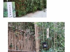 -天水蔬食料理(树德之光店)