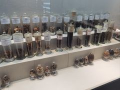 -广东中医药博物馆