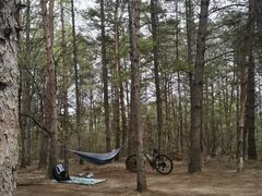 -帽儿山国家森林公园