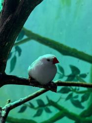 -Zoolung Zoolung动物主题公园(海信广场店)