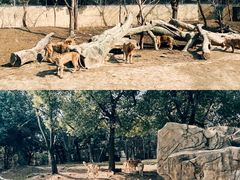 -常州淹城野生动物世界