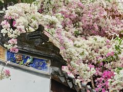 -深圳国际园林花卉博览园