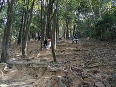 -火炉山森林公园