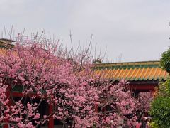 -宝墨园景区