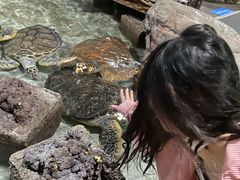 -杭州海底世界
