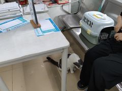 -瑞派动物医院·猫专科·至诚(江南中分院)