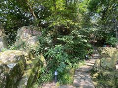 -江心屿景区