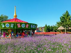 -羊亭河湿地公园