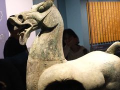 -广西壮族自治区博物馆