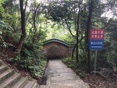 -广州市流溪河国家森林公园