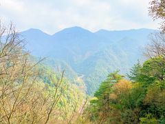 -东天目山风景区