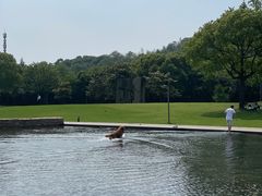 -上海月湖雕塑公园