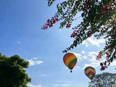 -中国科学院西双版纳热带植物园