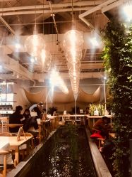 -悦诗风吟innisfree
