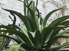 -南山植物园