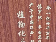 -辽宁古生物博物馆