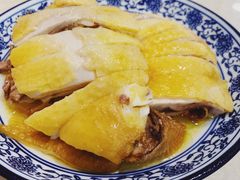 清蒸小本鸡-兰边碗(鼓楼店)