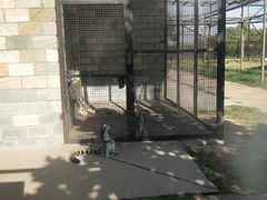 -石家庄市动物园