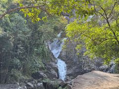 -海南霸王岭国家森林公园