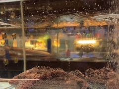 -阿伟海鲜楼·福建菜(延寿店)