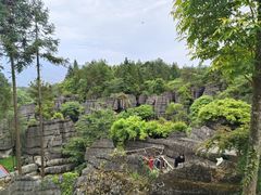 -梭布垭石林景区