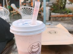 -喵屿·大理花园猫咖