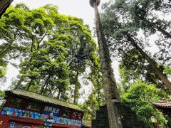 -都江堰普照寺