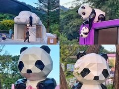 -云溪植物园