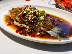 -杨氏青龙虾·羊蝎子(金盛路总店)