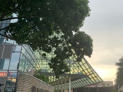 -罗浮宫索菲特酒店餐饮部