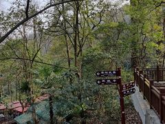 -岳麓山风景名胜区