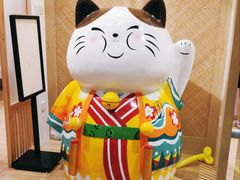 -屋虎猫馆(宝安大仟里店)