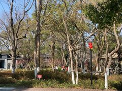 -东湖景区