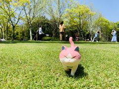 -上海吴淞炮台湾国家湿地公园