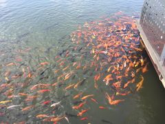 IMG_0121-沈阳植物园