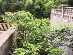 -藏龙百瀑漂流