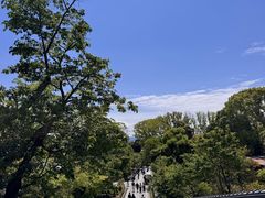 -豆政(金閣寺境内売店)
