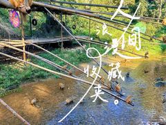 -西双版纳原始森林公园