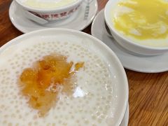 姜汁撞奶-正德顺順德雙皮奶(中信店)