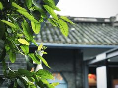 -三联韬奋书店(宽窄巷子店)
