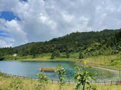 -武陵山森林公园