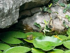 -苏州东山雕花楼宾馆