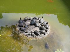 -黔灵山公园