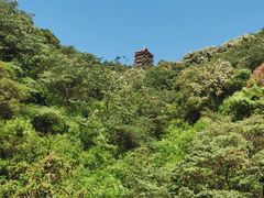 -缙云山景区