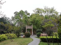-晓港公园