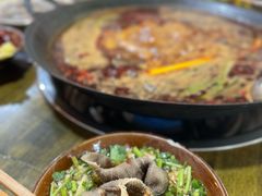 -黄潇洒老火锅(九眼桥宏济巷店)